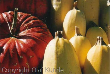 Courges